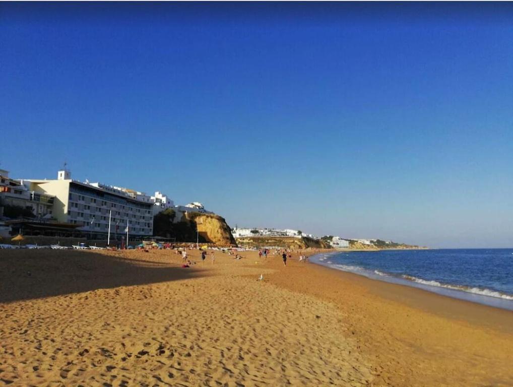 Spacieux Logis Des Fees De La Marina En Rez-de-chaussee De Chaussee Appartement